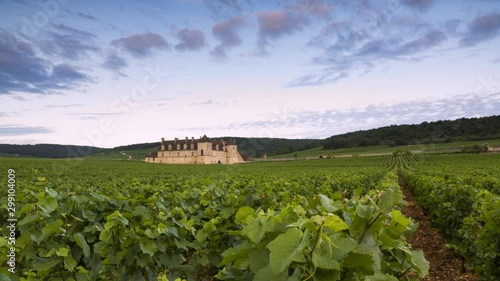 Clos de Vougeot