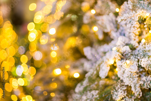 Closeup of Christmas tree at night © themorningglory
