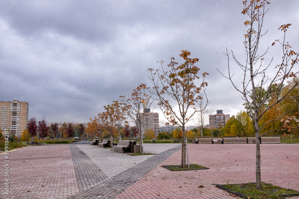 City park in late autumn, Saint Petersburg, Russia.