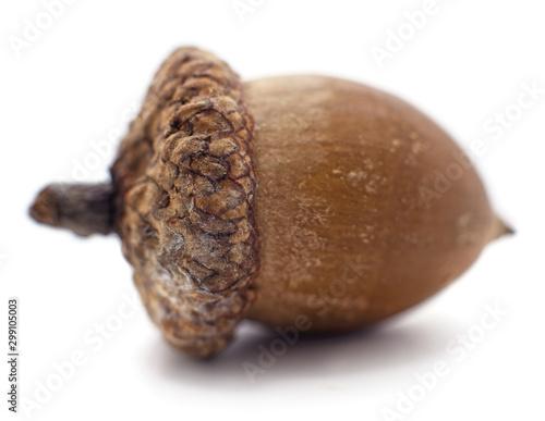 One brown acorn.