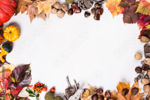 Autumnal white background with oval frame