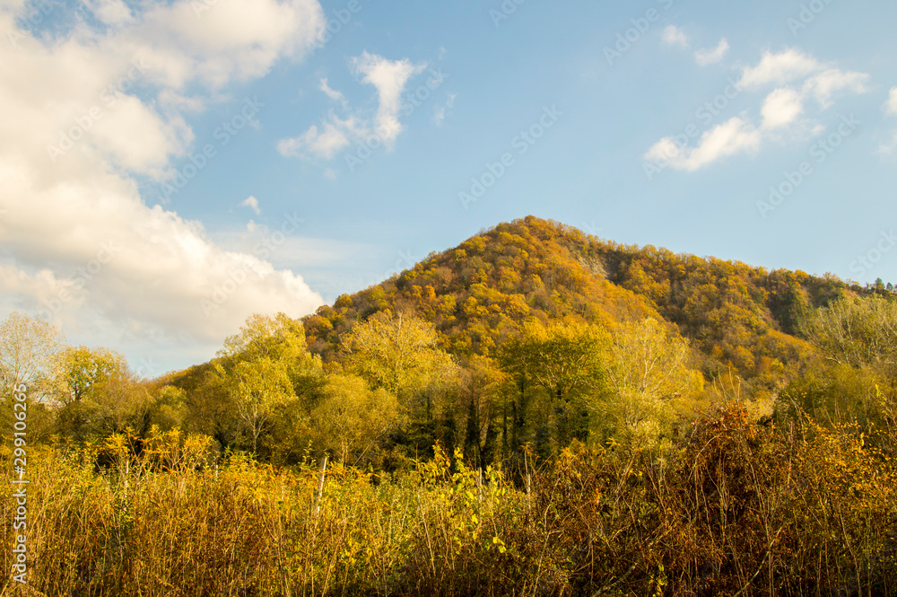 autumn in the mountains