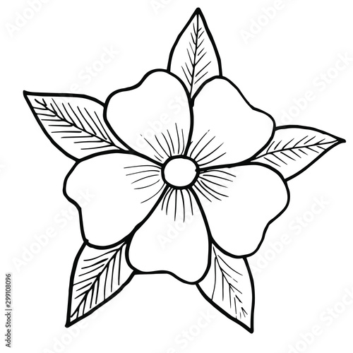 A flower with five petals and five leaves. Flower drawn by lines.