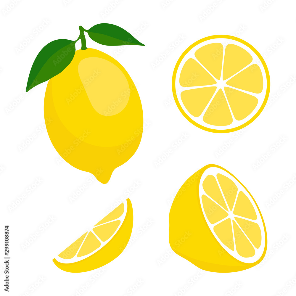 Set of whole, cut in half, sliced on pieces fresh lemons, leaves and flowers, twisted lemon peel hand drawn vector illustration isolated on white background.