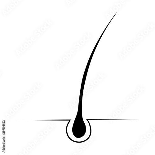 hair care logo isolated on white background.