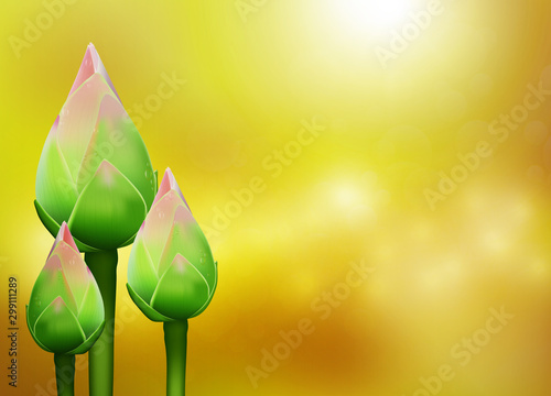 Realistic 3d Thai pink lotus buds with water drop on blurred golden bokeh background vector illustration