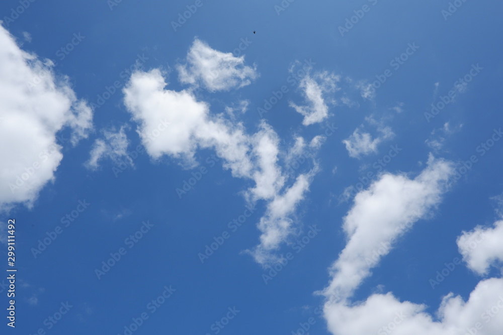 Fototapeta premium blue sky with white clouds