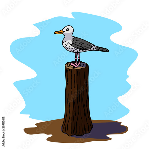 seagull vector illustration