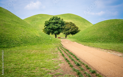 Tumuli park or Daereungwon tomb complex scenic view with several tumulus and green trees in middle Gyeongju South Korea photo