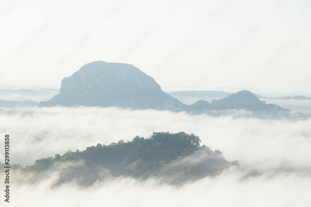 The mountains are covered by fog.