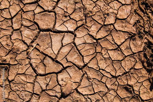 Climate change Environment concept  dry ground close up