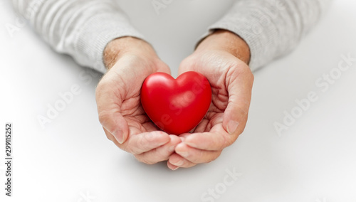Fototapeta Naklejka Na Ścianę i Meble -  health, charity and people concept - close up of senior man holding red heart in hands