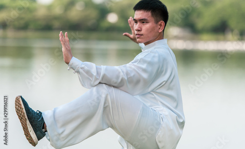 Tai Chi master workout in the park.