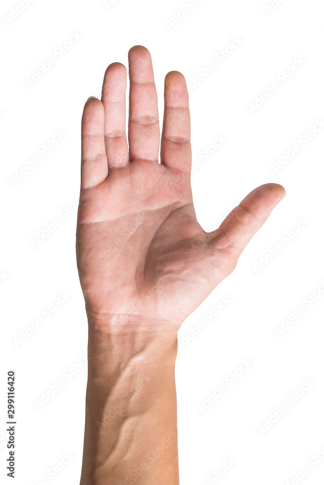 various gestures and sign of Man's hand isolated on white background with clipping path. various gestures and sign of Man's hand isolated on white background with clipping path.