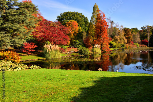 Autumn Colours at Sheffield Park, East Sussex 01