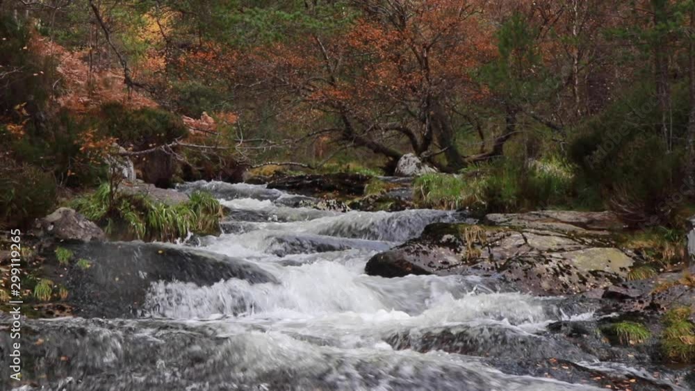 waterfall motion/pan in the cairngorms national park, Scotland, during the autumn with orange and yellow leaf birch, larch and pine trees and forest background. waterfall motion/pan in the cairngorms national park, Scotland, during the autumn with orange and yellow leaf birch, larch and pine trees and forest background.