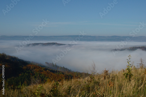 Wild nature in Czech area called Moravský kras