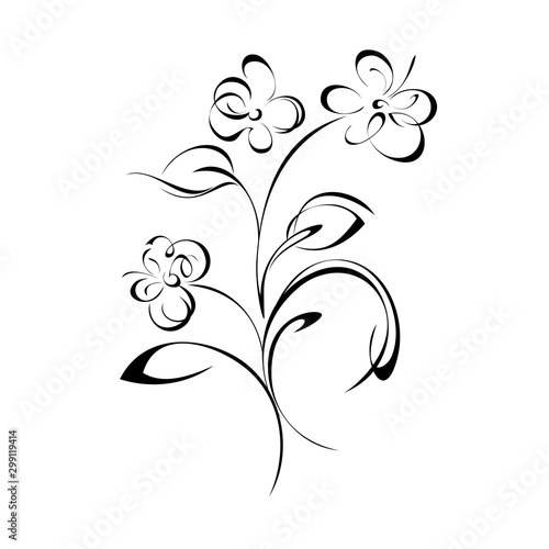 decorative twig with flowers, leaves and curls in black lines on white background