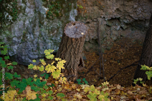 The autumn nature in Moravia