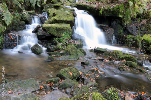 waterfall in the forest