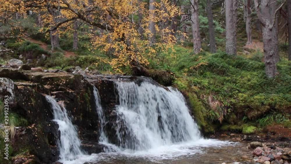 waterfall motion/pan in the cairngorms national park, Scotland, during the autumn with orange and yellow leaf birch, larch and pine trees and forest background. waterfall motion/pan in the cairngorms national park, Scotland, during the autumn with orange and yellow leaf birch, larch and pine trees and forest background.