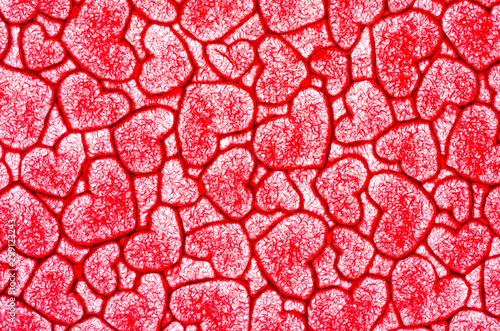 Closeup of red hearts mulberry paper texture used for background , texture , copy text. Concept of happy valentine day, lover day and gift..