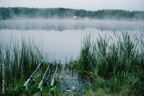 Photo Four carp fishing rods in rod pod on a background of lake and nature