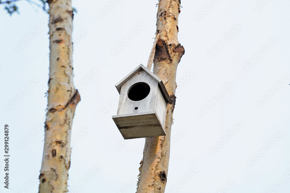 bird's nest on the branch