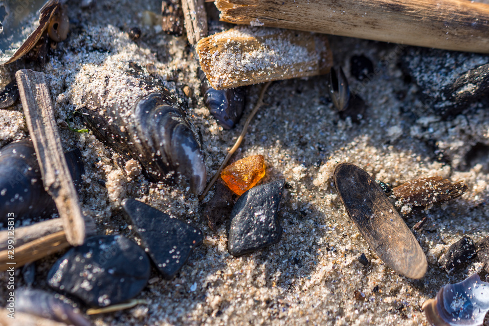 Treasure found at the Baltic sea Treasure found at the Baltic sea