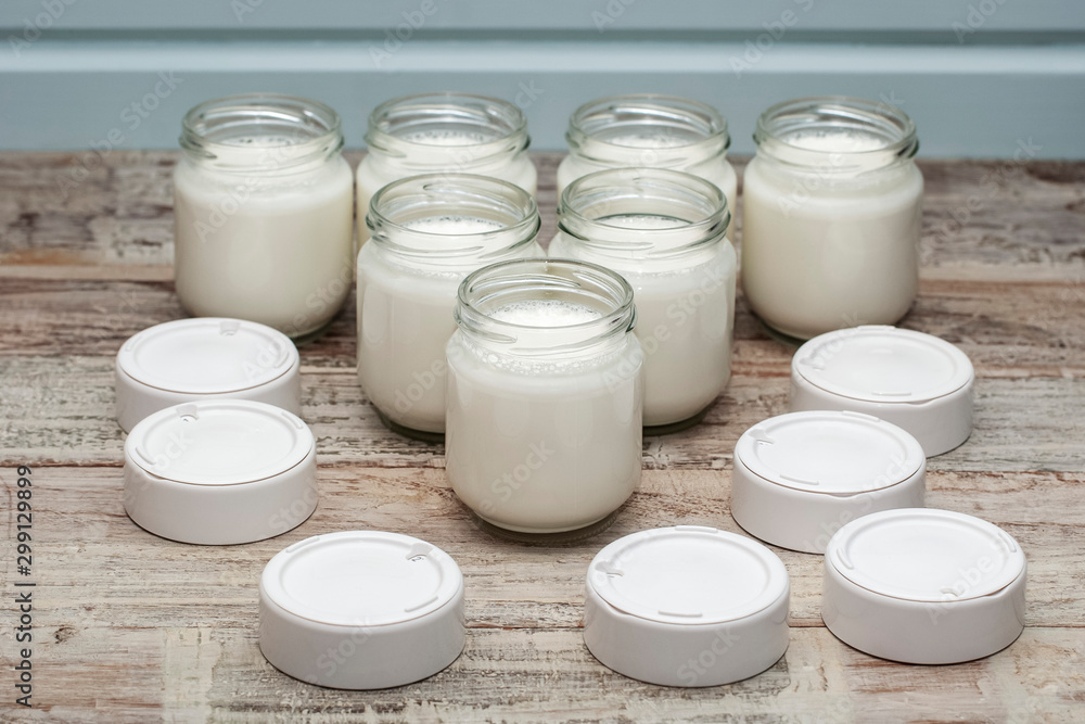 Homemade Yogurt Ready to Eat Homemade Yogurt Ready to Eat