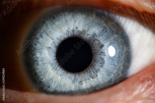 Blue eye male human super macro closeup