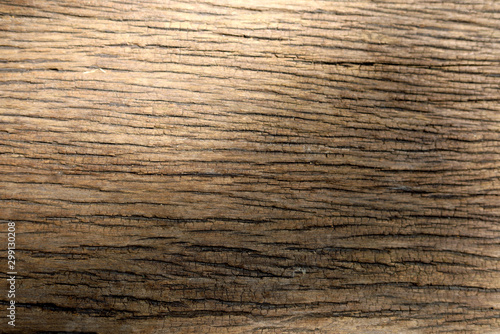 Close up wood texture background and show detain texture line.