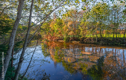 Fototapeta Naklejka Na Ścianę i Meble -  Autumn colors. by the riverbank. Sandane in Nordfjord - Norway