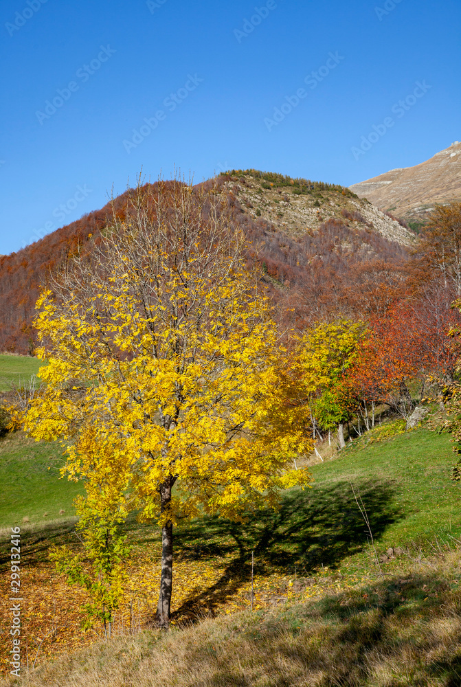 Panorama dell'Appenino tosco emiliano in autunno