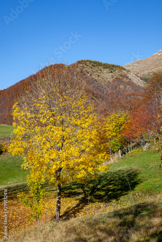 Fototapeta Naklejka Na Ścianę i Meble -  Panorama dell'Appenino tosco emiliano in autunno