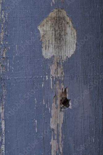 Damaged Blue Wood Finish Cover