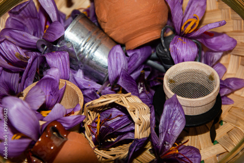 Excellent Saffron or rose flower with different miniature gardening containers photo