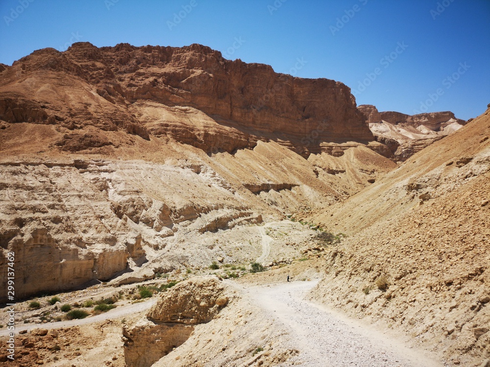 trail in the desert