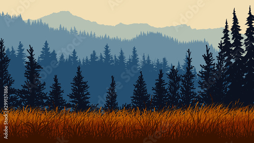 Horizontal illustration of grassy meadow with coniferous forest hills.