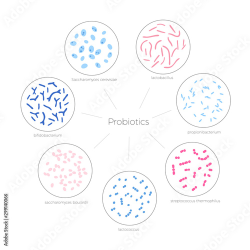 Vector isolated illustration of probiotics 