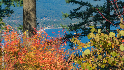 Fall view across Burrard Inlet to the town of Deep Cove, BC photo