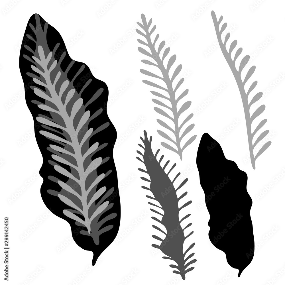 Obraz premium Isolated design of decorative silhouettes of abstract botanical forms. The design is perfectly suitable for clothes design, children decoration, stickers, stationary, tattoos. 