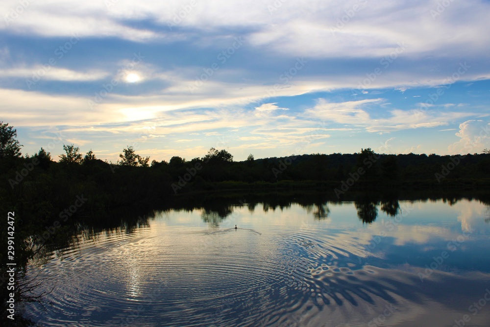 Fototapeta premium Beautiful view of the Finzel Swamp in Maryland