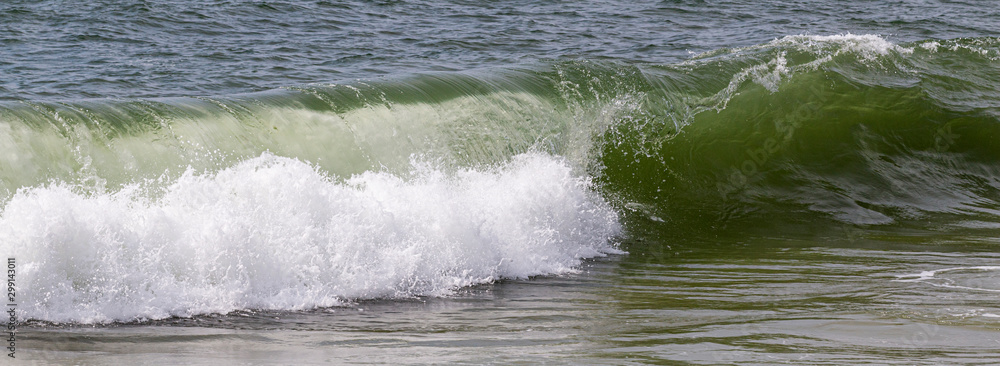 Ocean wave breaking along the shore of Fire Island New York