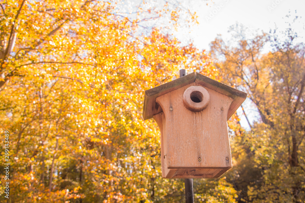 Close-Up of a Birdhouse in the Forest on a Bright, Sunny Fall Day - with Bright Yellow and Orange Leaves in the Background