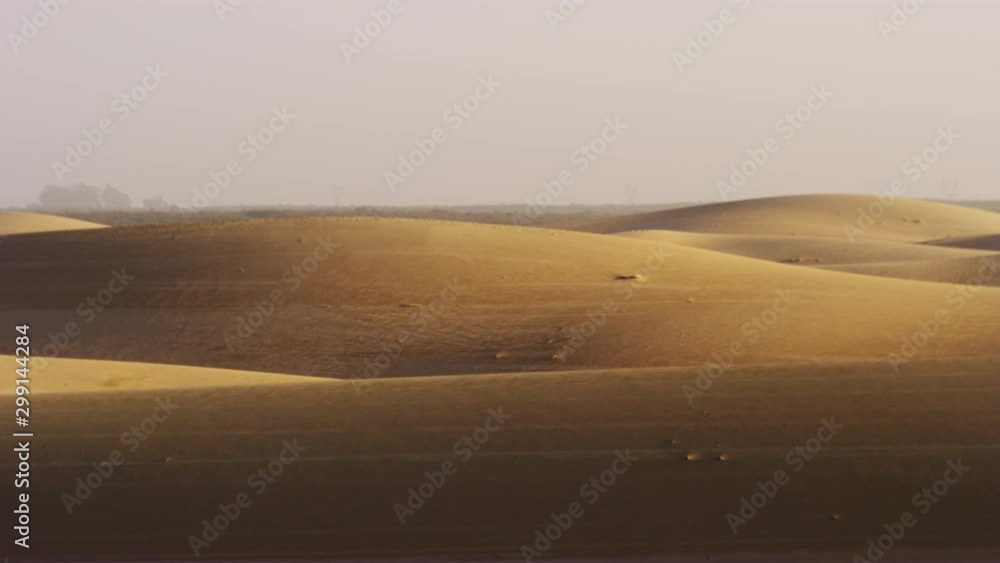 View of the Sand Dunes and Desert Vegetation in a Panning Shot View of the Sand Dunes and Desert Vegetation in a Panning Shot