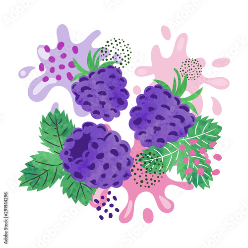 Blackberry juice vector illustration. Abstract watercolor juicy berry splash
