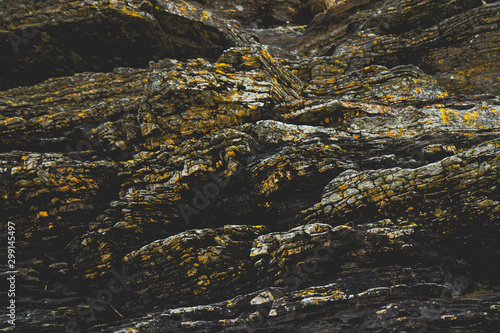 Rock Textures slate lichen 