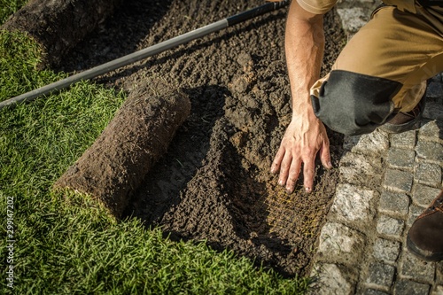 Underground Garden Fencing