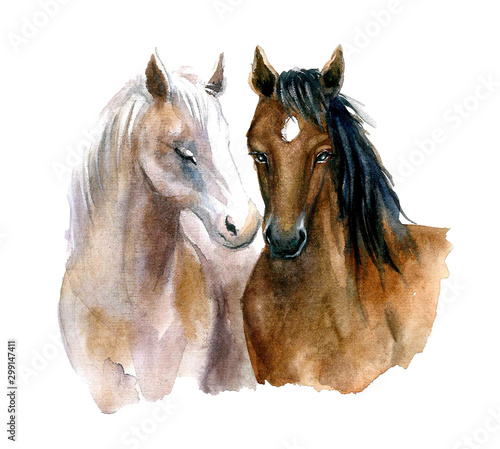 Fototapeta Naklejka Na Ścianę i Meble -  Cute watercolor horses on the white background